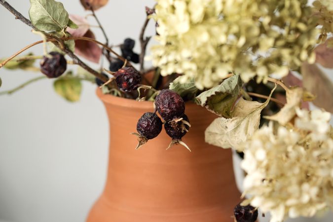 Dried flowers, educational still life for drawing.