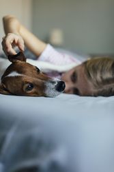Close up of dog laying on bed with eyes open and girl laying behind him