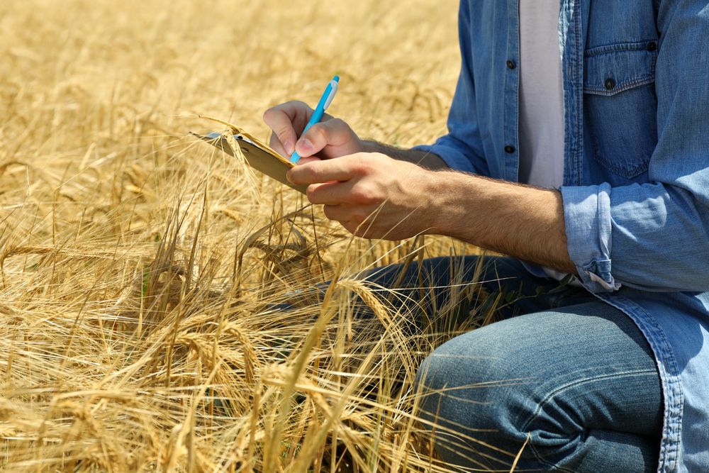 Young man with clipboard in barley field. Agriculture business. Farming
