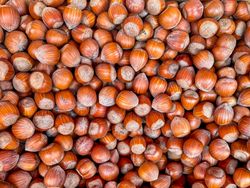 Hazelnuts in produce market