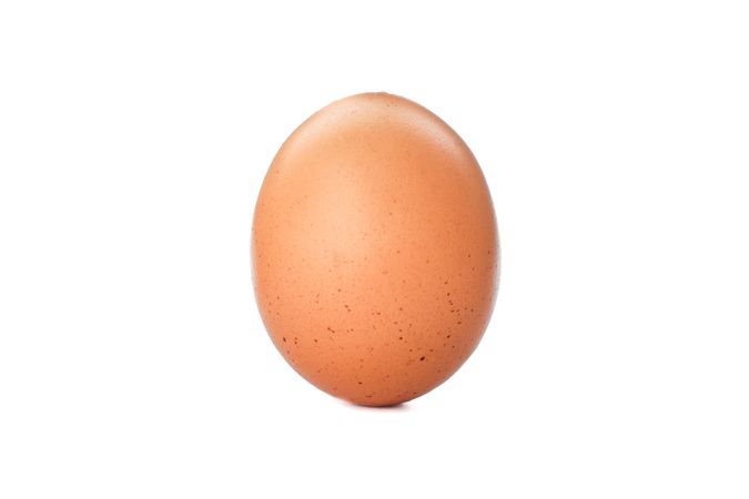 Single raw chicken egg on plain background