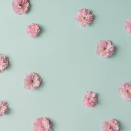 Pink flower pattern on blue pastel background