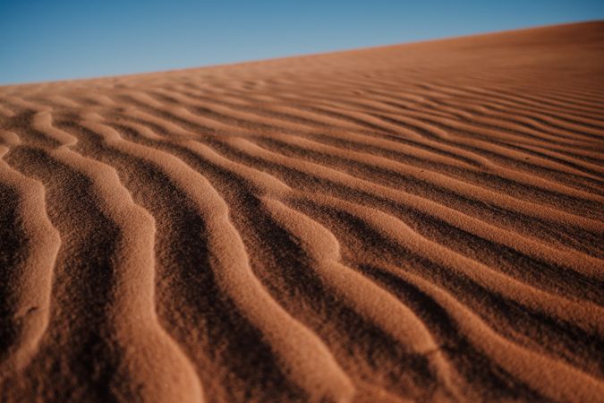 Ripples on sand surface in desert