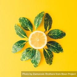 Lemon and green leaves on yellow background 4mjaBb