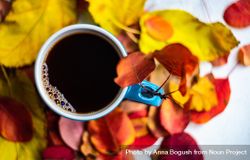 Top view of autumnal cup of coffee 4BaBgB