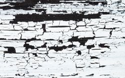 Textured wood and fading paint, b&w