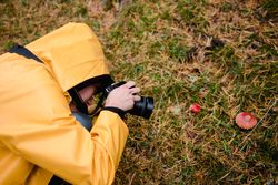 Person in yellow raincoat photographing mushrooms