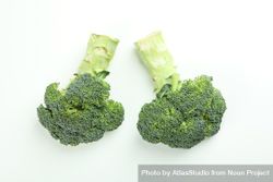Two stalks of broccoli on bright background 5rJon5