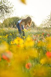 Girl picking flowers in field in summer