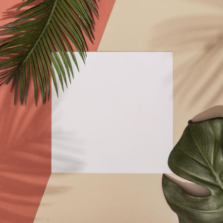 Top view of green tropical leaf with shadow on orange and sand color background, with paper card