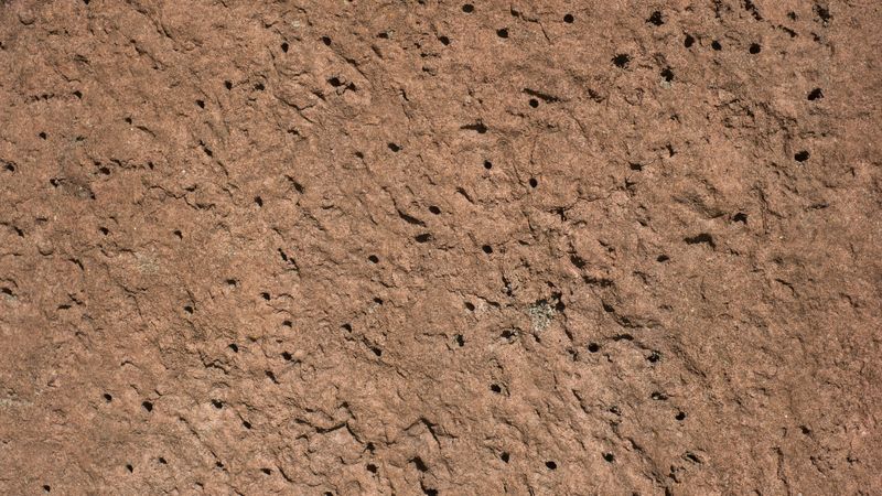 Brown compact soil surface with small holes and rough natural texture