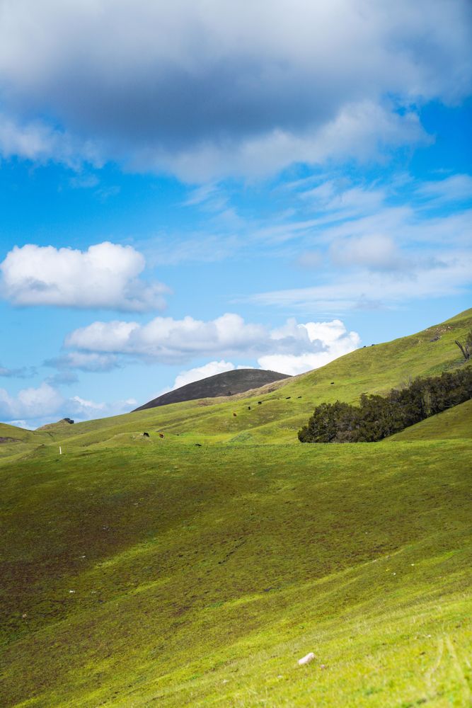 blue sky and green hills