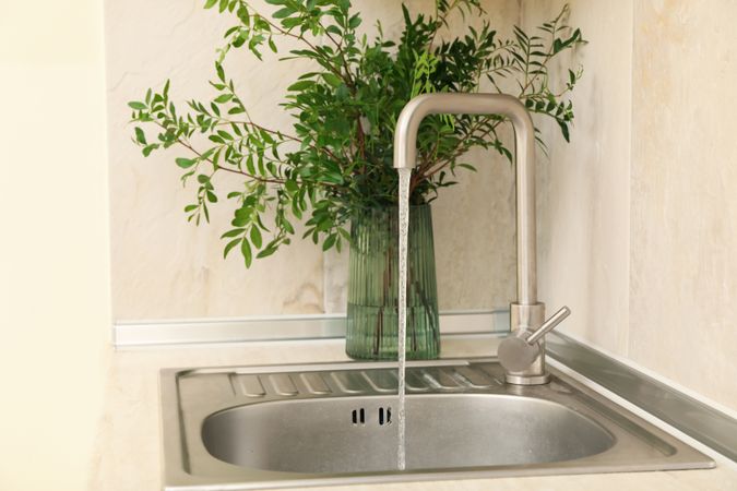 Kitchen sink with faucet and vase with plant