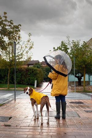 Woman walking with dog in cloak in street