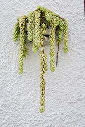 Typical Andalusian Spanish villages