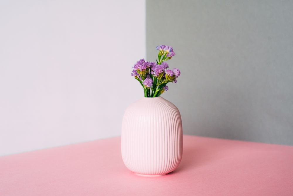 Violet sea lavender flowers in a multicolor background