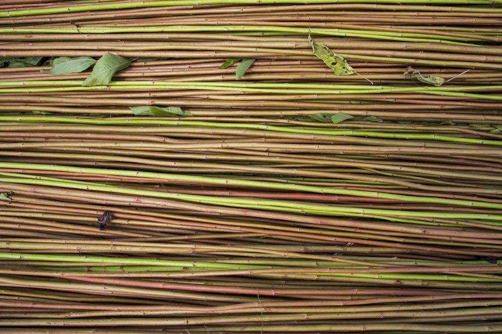 Red Green Raw Jute Texture background. This is the Called Golden Fiber in Bangladesh