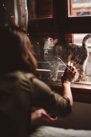 Anonymous female touching window glass near kitten