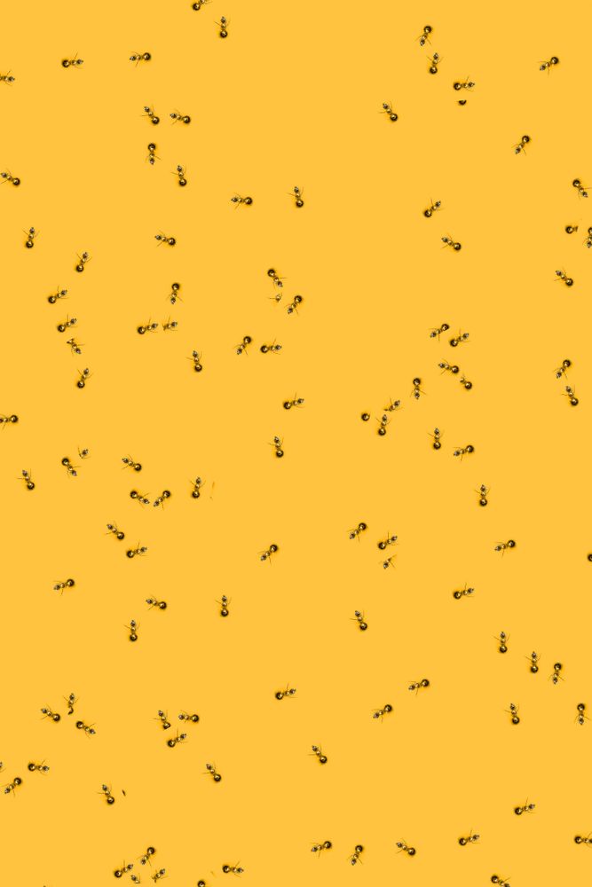 Gold bauble snowman scattered on an orange background