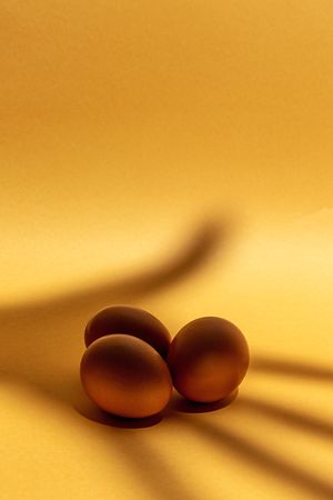 Fresh raw eggs on brown background