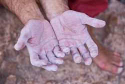 Scratched and dusted hands of crop person