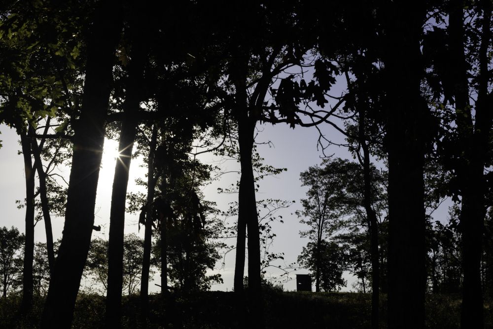 Hunting blind and morning light in McGregor, Minnesota