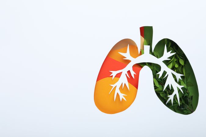 Lung shape cut out of paper with bronchus and green and orange color underneath with copy space