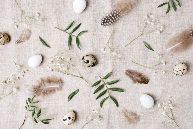 Top view of quail eggs, bird feathers and leaves on beige table cloth