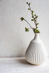 Green branch in vase in studio