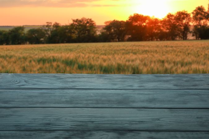 Wooden table with towel against field. Agriculture concept