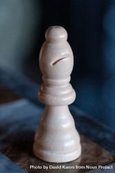 Chess piece, Bishop 4dlGd4
