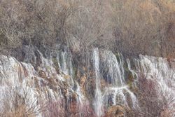 Wonderful waterfall near tree