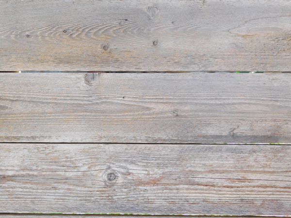 Wood Texture In The Garden