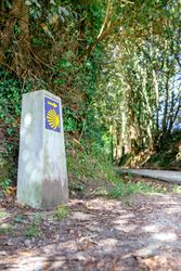 Milestone of Saint James way next to road