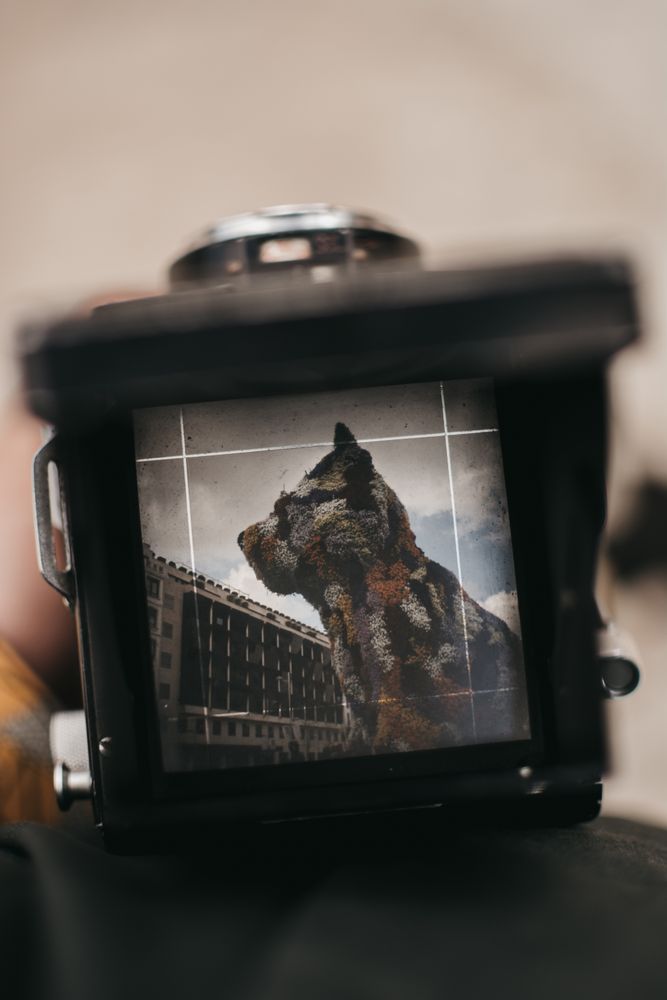 Tourist with shot of flower statue on camera