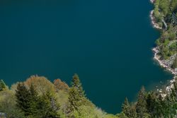 Shot looking down of trees lining a lake