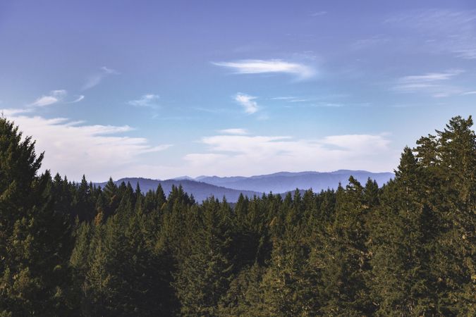 Beautiful blue sky above green mountains in Northern California