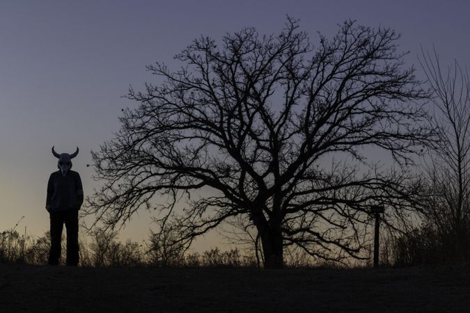 Person in haunting horned mask standing ominously next to a a tree at dusk