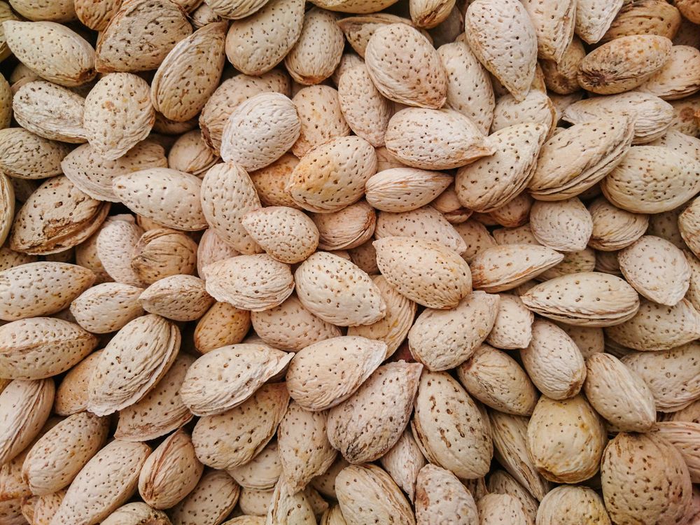 Texture of almonds in shell
