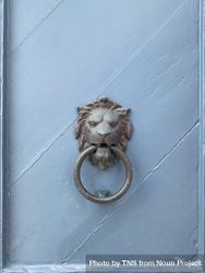 Patmian knocker close up of lionshead 4mW6VQ