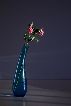 Pretty flowers in glass vase