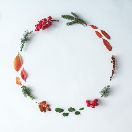 Winter leaves and berries in circle on light background