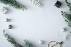 Winter branches and decorations on pastel grey background
