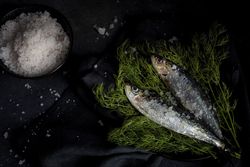 Homemade salted sardines on greens on plate