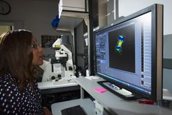 Bethesda, MD - USA,  Sept 2014: Female scientist at the computer analyzing cells 48lvj4