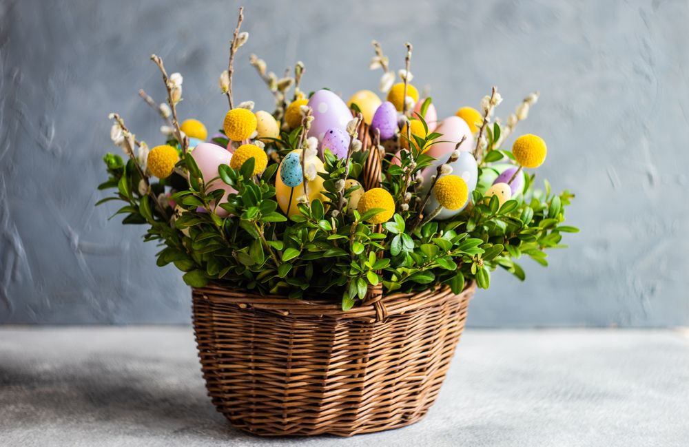 Easter card concept with fresh basket of greenery with colorful decorative eggs