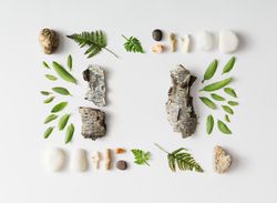 Layout made of leaves, stones, and tree bark on light background