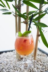 Colorful drink with mint garnish