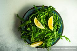 Top view of rocket salad with lemon slices 5Q2nJN