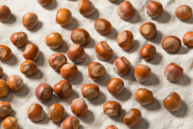 Organic Raw Dry Hazelnuts